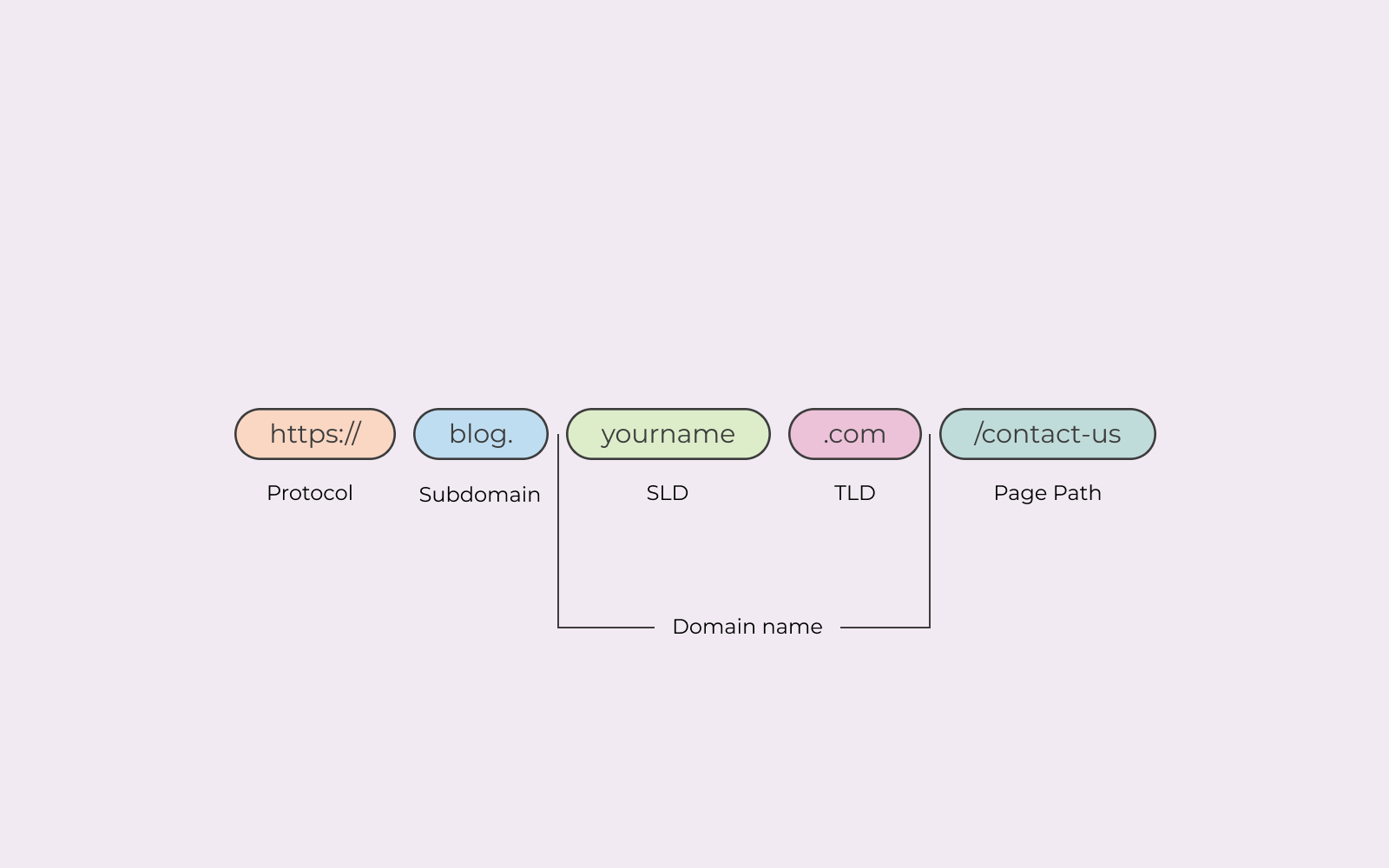 How to Find Out Who Owns a Domain - Everything You Need to Know.